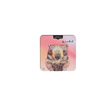 /assets/alt_3/CA-BR-AA03_2PK.jpg?20251016093141