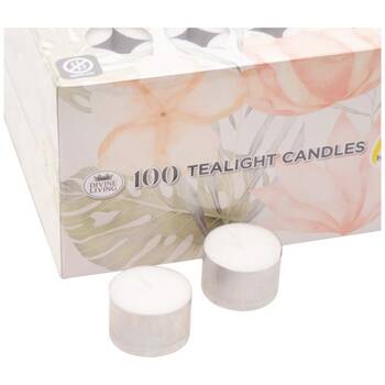 /assets/alt_3/CA055998.jpg?20251117123627