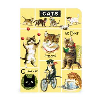 /assets/alt_3/CHW-C-NBCAT-MINI.jpg?20260730100023