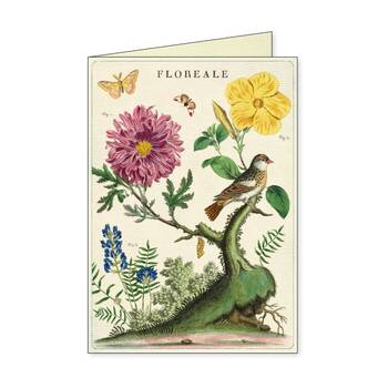 /assets/alt_3/CHW-C-NC-FLOR.jpg?20260720103012
