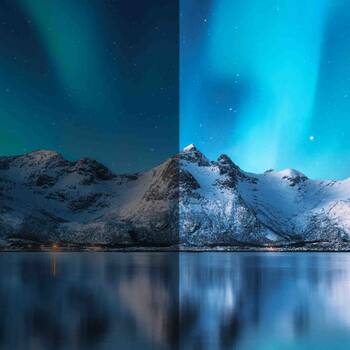 /assets/alt_3/CHW-DP21-03-BK_2PK.jpg?20260206111542