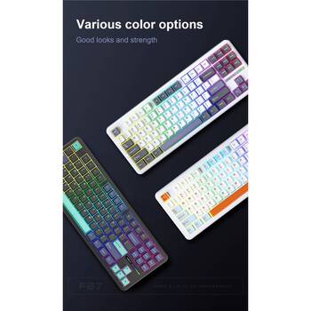 /assets/alt_3/CHW-F87-BG-G.jpg?20260121101711