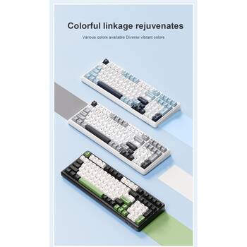 /assets/alt_3/CHW-F99-BB-G.jpg?20260121101642