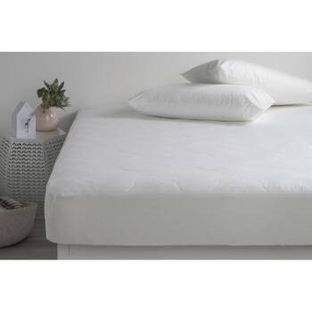 /assets/alt_3/CHW-MAJHSANTBACKB.jpg?20260203120035