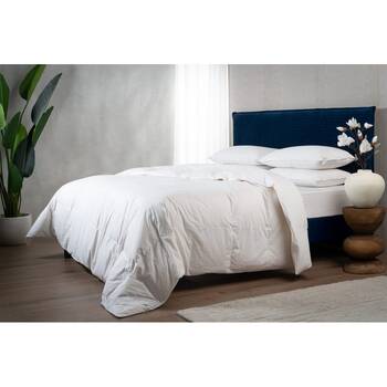 /assets/alt_3/CHW-QUONKHUGD85QB.jpg?20260203120139