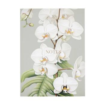 /assets/alt_3/CHW-ST3023-1_4PK.jpg?20260305160213