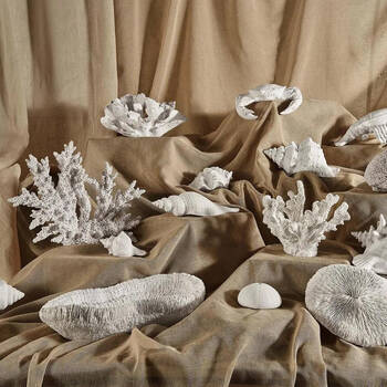 /assets/alt_3/DA876_2PK.jpg?20251014105453