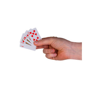 /assets/alt_3/EC-WS-PC_6PK.jpg?20251028111559