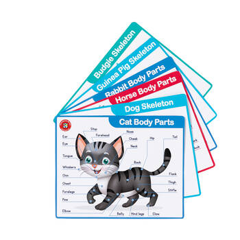 /assets/alt_3/EVLMFV.jpg?20251003151555