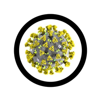 /assets/alt_3/GM-0167.jpg?20240718135401