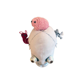 /assets/alt_3/GM-3027.jpg?20240718135358