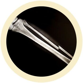 /assets/alt_3/GM-4002_2PK.jpg?20240718141510