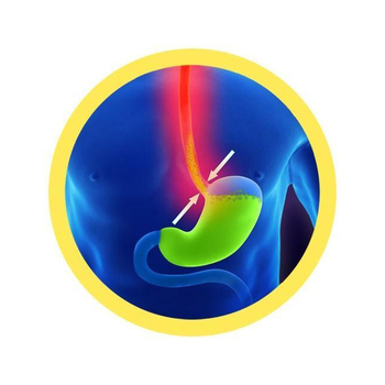 /assets/alt_3/GM-4020_2PK.jpg?20240718142309