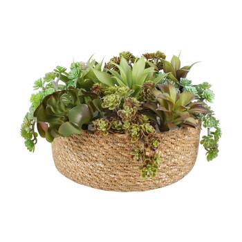 /assets/alt_3/HE9590.jpg?20260209110404