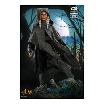 /assets/alt_3/HOTDX21.jpg?20250515164703