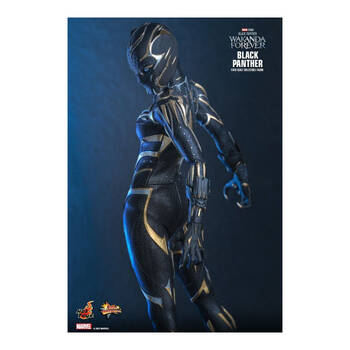 /assets/alt_3/HOTMMS675.jpg?20250515164606