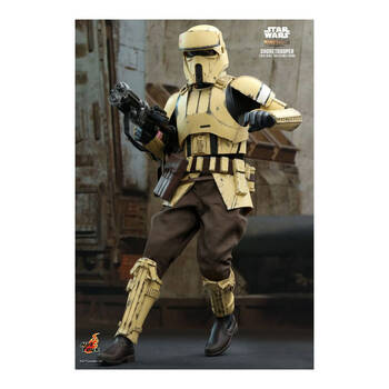 /assets/alt_3/HOTTMS031.jpg?20250520133552