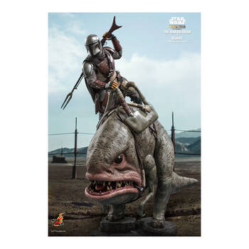 /assets/alt_3/HOTTMS046.jpg?20250514165538