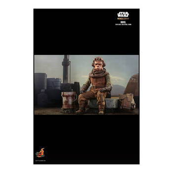 /assets/alt_3/HOTTMS048.jpg?20250520133444