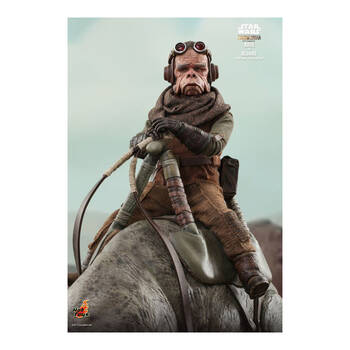 /assets/alt_3/HOTTMS049.jpg?20250514165534