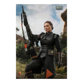 /assets/alt_3/HOTTMS068.jpg?20250520133417