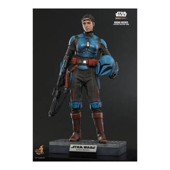 /assets/alt_3/HOTTMS069.jpg?20250520133039