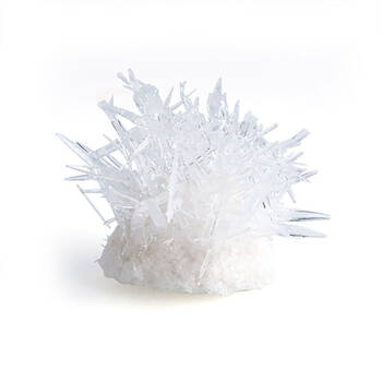 /assets/alt_3/MDI-CK-GC-RB_6PK.jpg?20250612174723