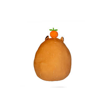 /assets/alt_3/MDI-LT-MP-CP.jpg?20250807135417