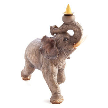 /assets/alt_3/MDI-XP-BB-E_2PK.jpg?20250617161030