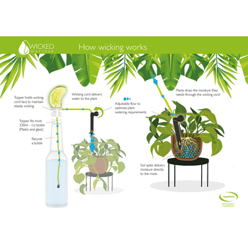 /assets/alt_3/MH-W-WATER-01_6PK.jpg?20240517085155