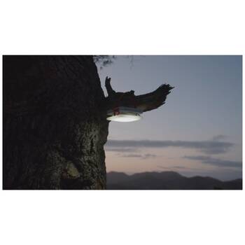 /assets/alt_3/MS-0196-0500.jpg?20251031111002