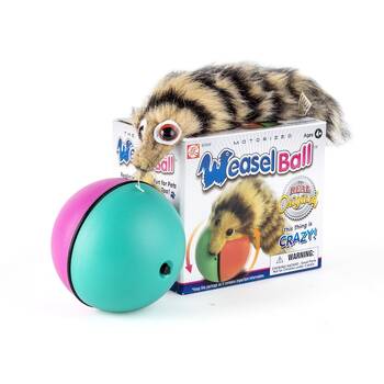 /assets/alt_3/NG118.jpg?20260209111740