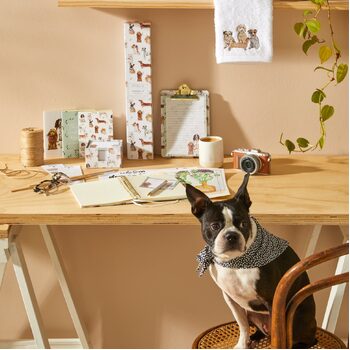 /assets/alt_3/NJDA047.jpg?20230411093047