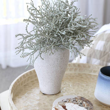 /assets/alt_3/PLM033B_2PK.jpg?20250423163248