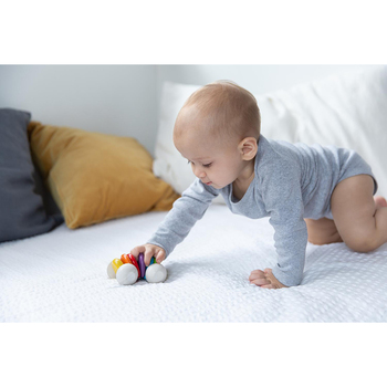 /assets/alt_3/PT5229.jpg?20240718082535