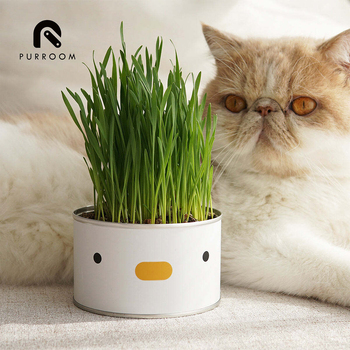 /assets/alt_3/PURR-CG-C_2PK.jpg?20231229081610