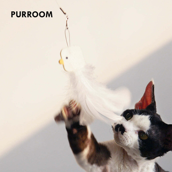 /assets/alt_3/PURR-RCT_2PK.jpg?20231229081958