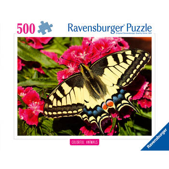 /assets/alt_3/RB01335-8.jpg?20250325124638