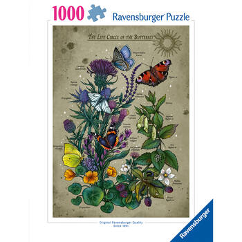 /assets/alt_3/RB01435-5.jpg?20250325183151