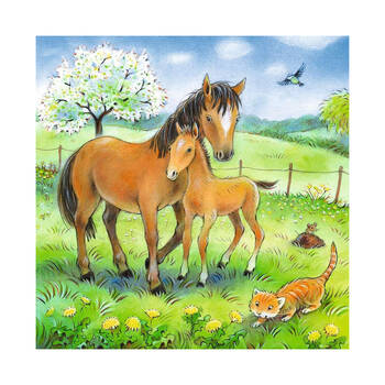 /assets/alt_3/RB04048-4.jpg?20250325163035