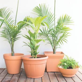 /assets/alt_3/REPRND200_6PK.jpg?20260324140220