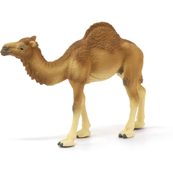 /assets/alt_3/SC14832_2PK.jpg?20240723151636