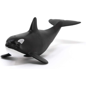 /assets/alt_3/SC14836.jpg?20240722111603