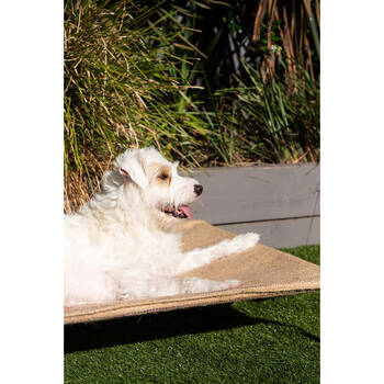 /assets/alt_3/SPGCOVFH5.jpg?20251125130744