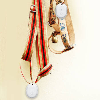 /assets/alt_3/TG-T135WH-603.jpg?20250718133117