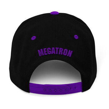/assets/alt_3/TRAN-DECE-CAP-MEG.jpg?20210809080432