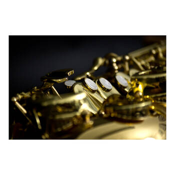 /assets/alt_3/TYM-101569.jpg?20250812160217