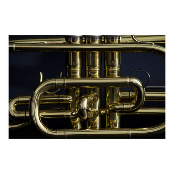 /assets/alt_3/TYM-101914.jpg?20250812160151