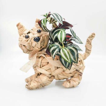 Large View /assets/alt_3/UG183325_2PK.jpg?20250915090506