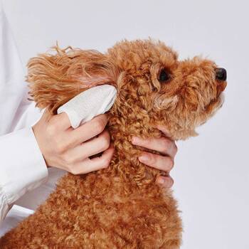 /assets/alt_3/W26884_2PK.jpg?20230327165300